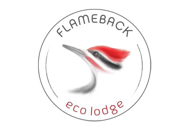 11 Flameback Eco Lodge