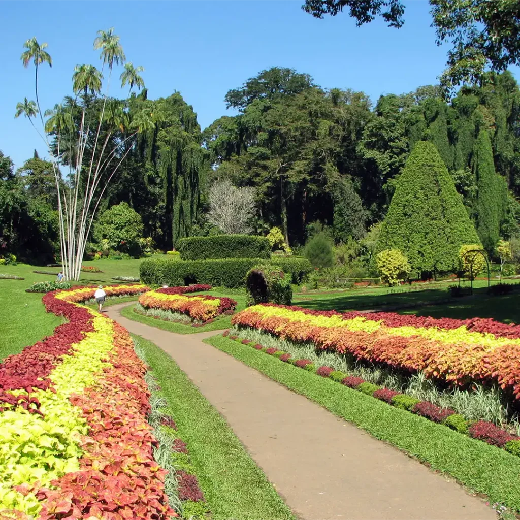 Peradeniya-royal-botanical-garden