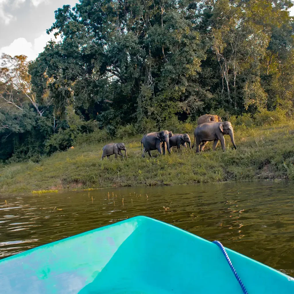 gal-oya-national-park-boat-ride-safari