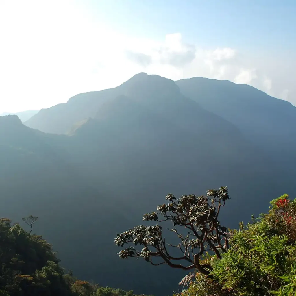 horton-plains-national-park