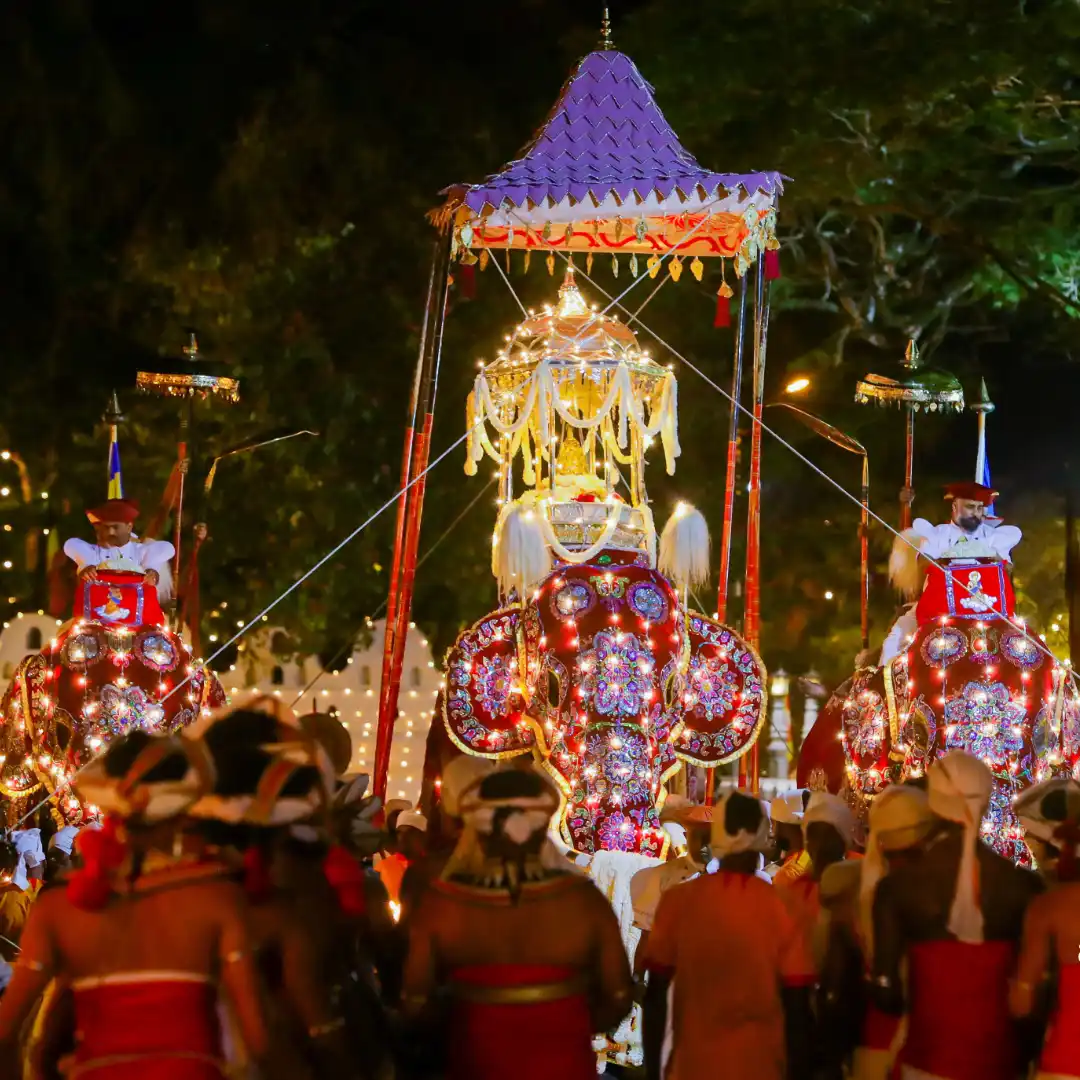 image of the Tooth Relic on an Elephant during the Kandy Esala Perahera festival in Sri Lanka