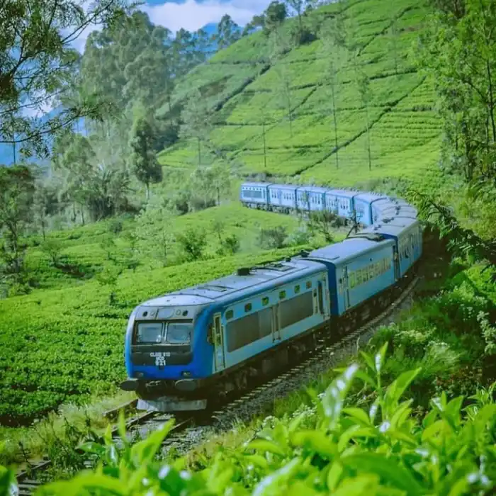 best places to visit nuwara eliya train