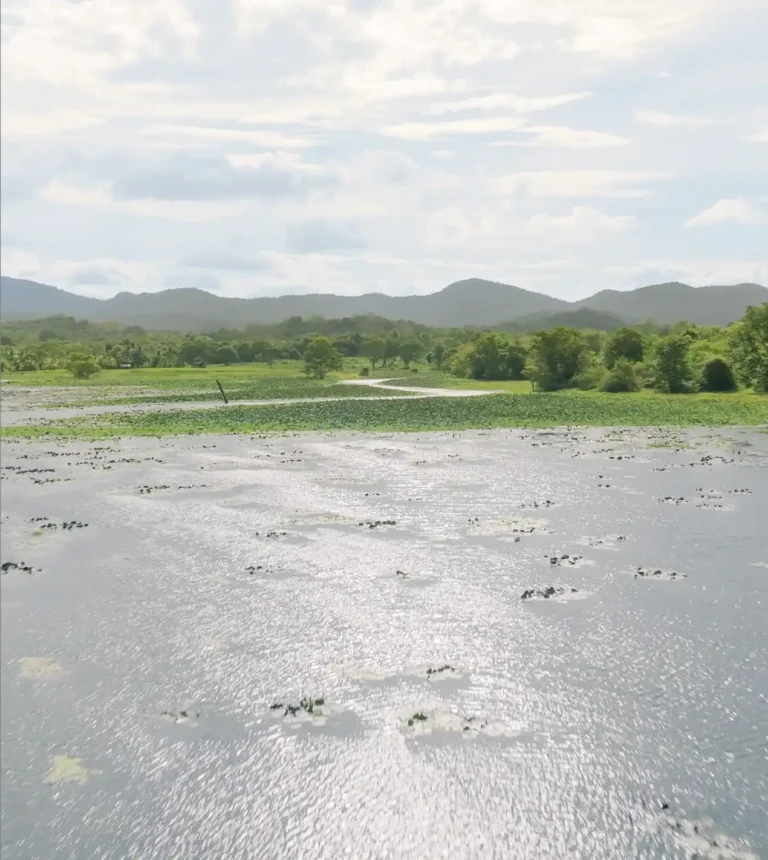 Dunuwila Lake in Matale