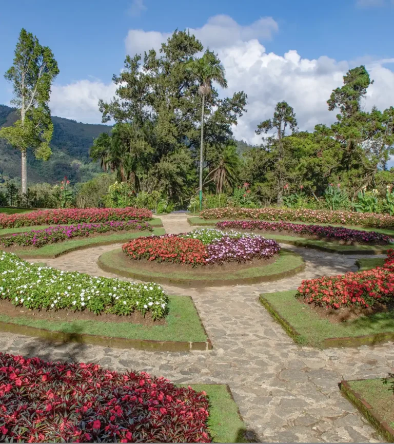 Hakgala Botanical Gardens in Nuwara Eliya