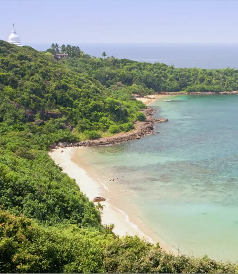 Rumassala Beach and Vegetation in Galle