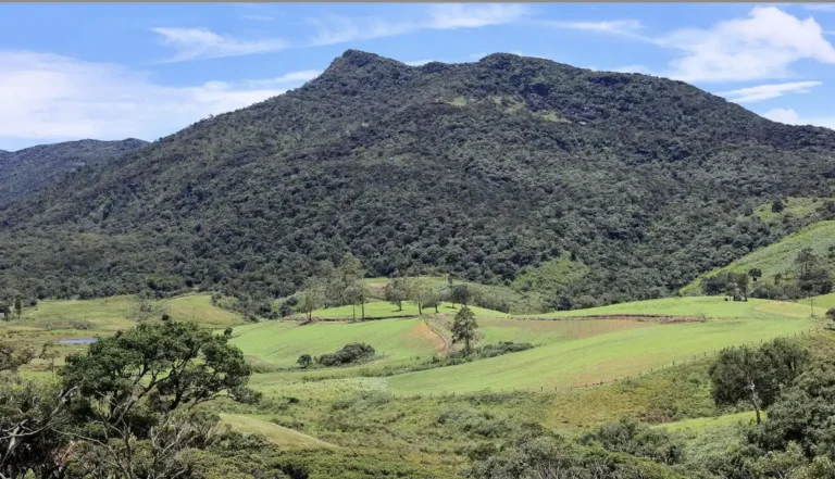 Thotupola Kanda in Nuwara Eliya